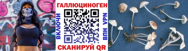 Псилоцибиновые грибы прущие грибы  Горячий Ключ 